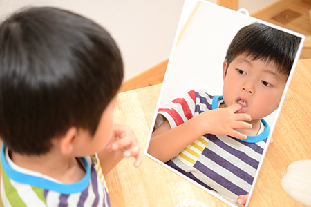 永久歯への生え変わり